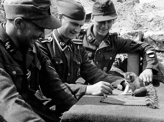 Nazis tormenting helpless kitten