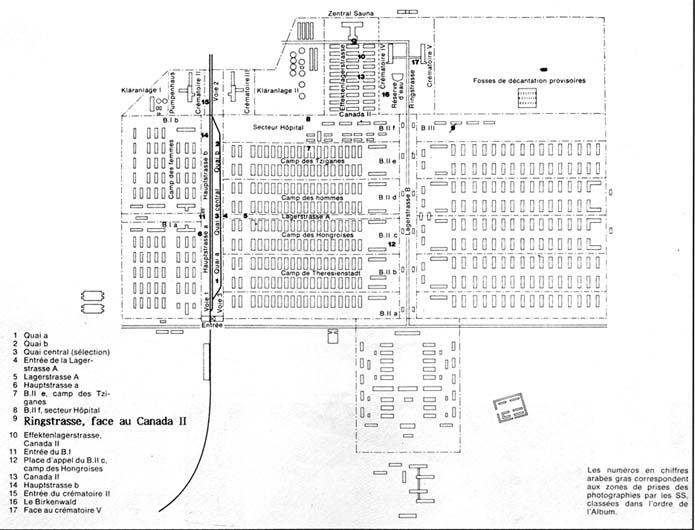 Plan of Birkenau