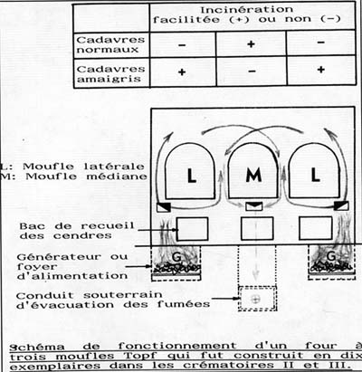 Document 25