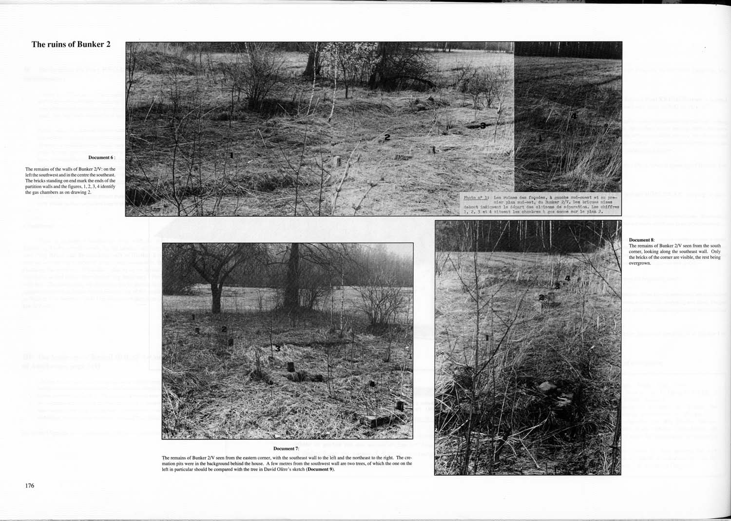 Auschwitz, by J.-C. Pressac